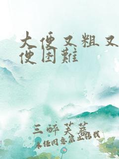 大便又粗又硬排便困难