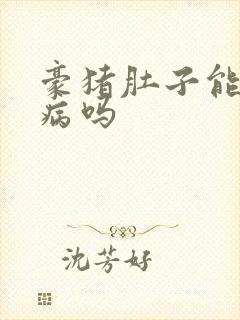 豪猪肚子能治胃病吗