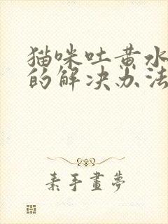 猫咪吐黄水最快的解决办法