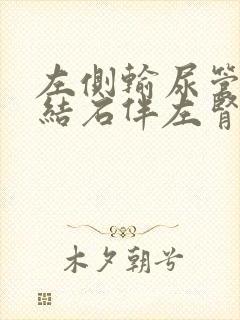 左侧输尿管中段结石伴左肾轻度积水