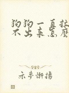 狗狗一直拉尿拉不出来怎么办