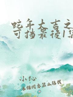 蛇年大吉之婚不可挡最后1集