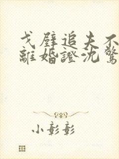 戈壁追夫不是讨离婚证沈惊寒林纾容全文小