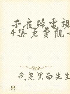 子夜归电视剧24集免费观看全集高清