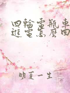 四轮电瓶车充不进电怎么回事