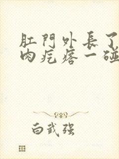 肛门外长了一个肉疙瘩一碰就疼