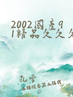 2002国产91精品久久久久久