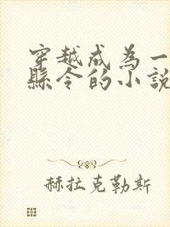 穿越成为一个小县令的小说