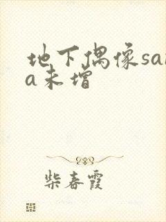 地下偶像sana未增