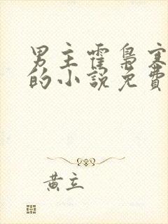 男主霍枭寒苏婉的小说免费阅读