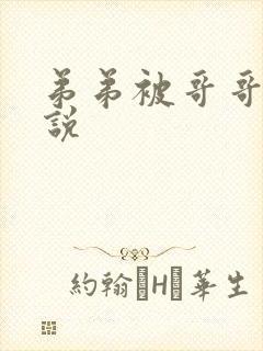 弟弟被哥哥打小说