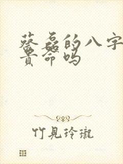 蔡磊的八字是富贵命吗