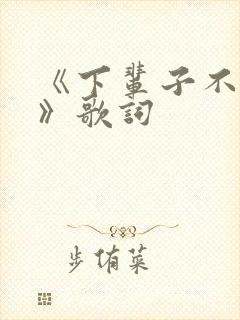 《下辈子不再来》歌词