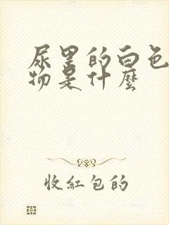 尿里的白色沉淀物是什么