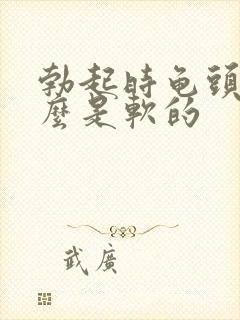 勃起时龟头为什么是软的