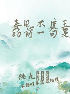 春风不度玉门关的前一句是