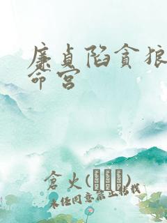 廉贞陷贪狼陷在命宫