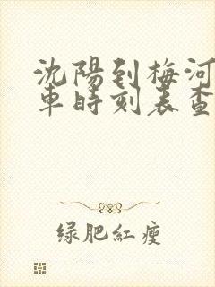 沈阳到梅河口客车时刻表查询