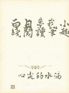 白日梦我小说在线阅读笔趣阁