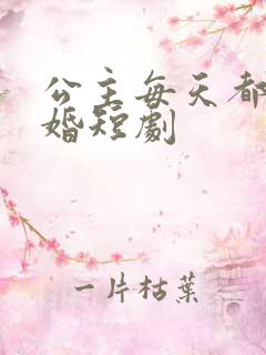 公主每天都想离婚短剧