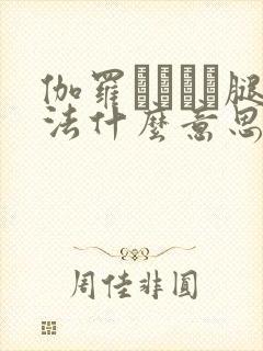 伽罗ちゃんが腿法什么意思