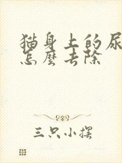 猫身上的尿骚味怎么去除