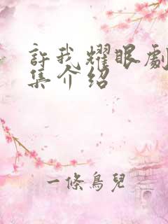 许我耀眼剧情分集介绍