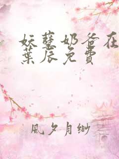 妖孽奶爸在都市叶辰免费