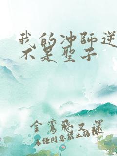 我的冲师逆徒才不是圣子