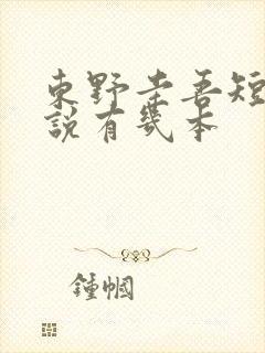 东野圭吾短篇小说有几本