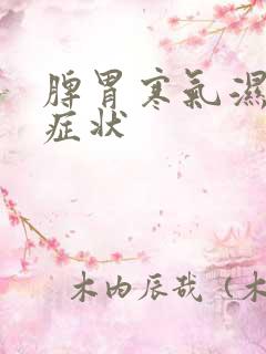 脾胃寒气湿气重症状