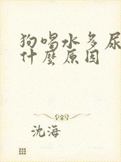 狗喝水多尿多是什么原因