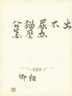 公猫尿不出尿来怎么办