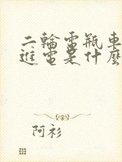 二轮电瓶车充不进电是什么原因