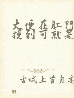 大便在肛门口能摸到可就是拉不出来,怎么办