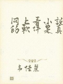 网上看小说赚钱的软件是真的吗