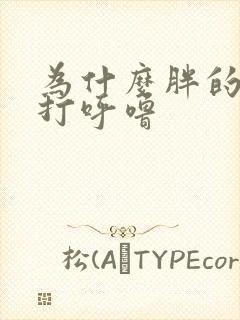 为什么胖的人爱打呼噜