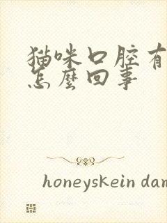 猫咪口腔有血是怎么回事