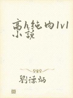 高h纯肉1v1小说