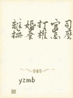 离婚打官司孩子抚养权怎么判