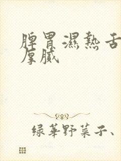 脾胃湿热舌苔黄厚腻