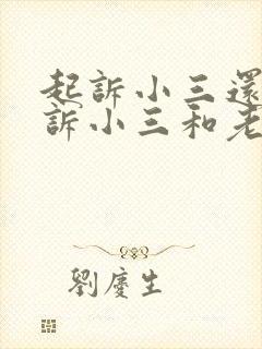 起诉小三还是起诉小三和老公