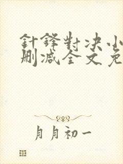 针锋对决小说无删减全文免费