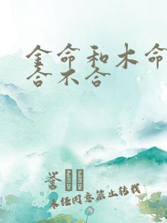 金命和木命婚姻合不合