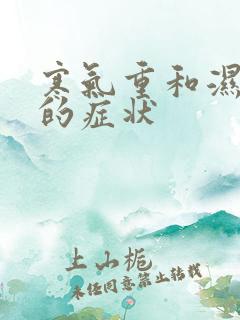 寒气重和湿气重的症状