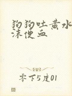 狗狗吐黄水带泡沫便血