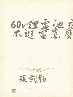 60v锂电池充不进电怎么修复