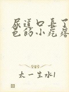 尿道口长了个红色的小疙瘩