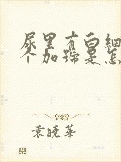 尿里有白细胞一个加号是怎么回事