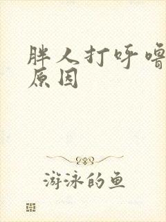 胖人打呼噜什么原因